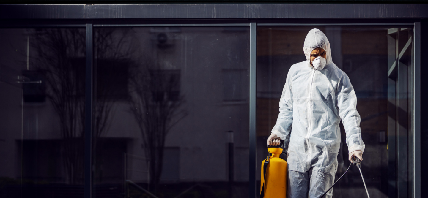 Insect Killer professional bed bug inspection service